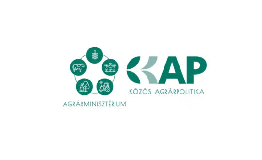 Kap00