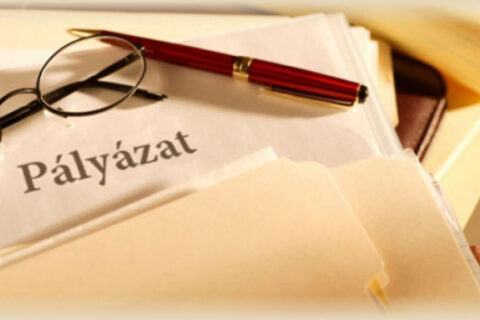 Palyazat